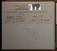 Image Associated With the Occurence